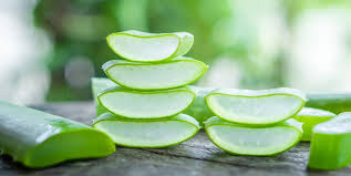 Aloe Vera Benefits for Face and Skin!